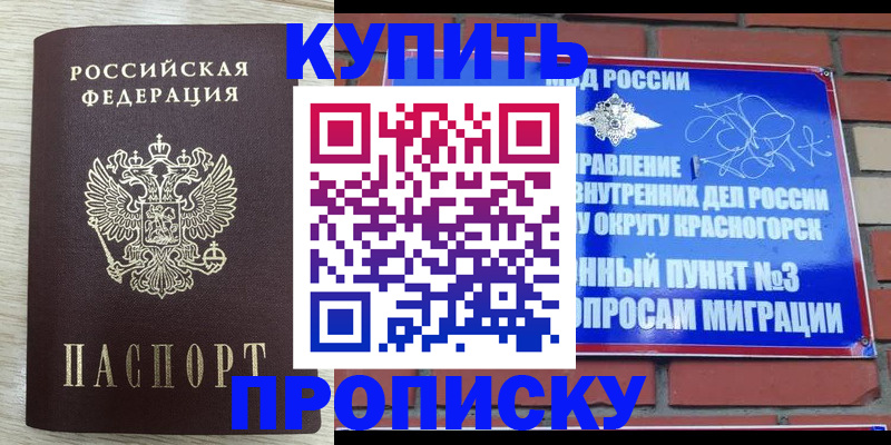 прописка гарантия в Завитинске
